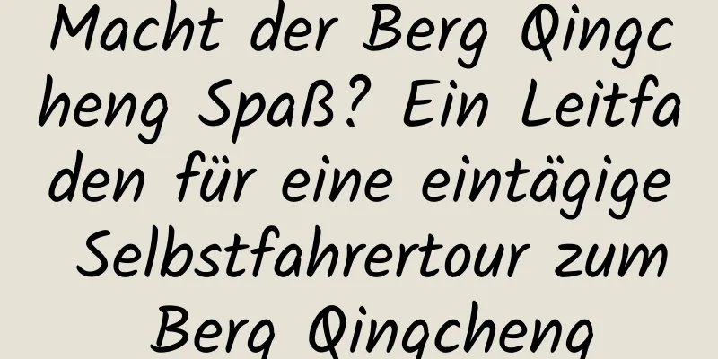 Macht der Berg Qingcheng Spaß? Ein Leitfaden für eine eintägige Selbstfahrertour zum Berg Qingcheng