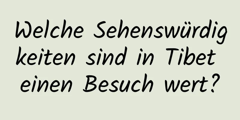 Welche Sehenswürdigkeiten sind in Tibet einen Besuch wert?