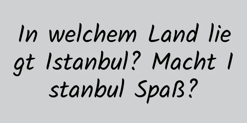 In welchem ​​Land liegt Istanbul? Macht Istanbul Spaß?