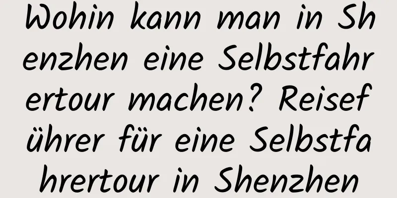 Wohin kann man in Shenzhen eine Selbstfahrertour machen? Reiseführer für eine Selbstfahrertour in Shenzhen