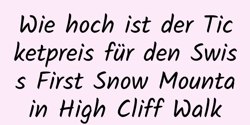 Wie hoch ist der Ticketpreis für den Swiss First Snow Mountain High Cliff Walk