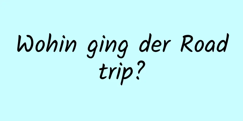 Wohin ging der Roadtrip?