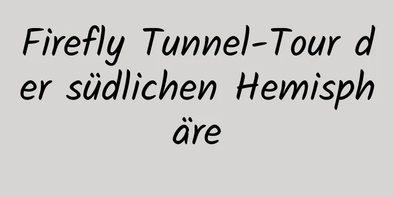 Firefly Tunnel-Tour der südlichen Hemisphäre