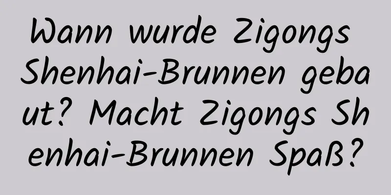 Wann wurde Zigongs Shenhai-Brunnen gebaut? Macht Zigongs Shenhai-Brunnen Spaß?