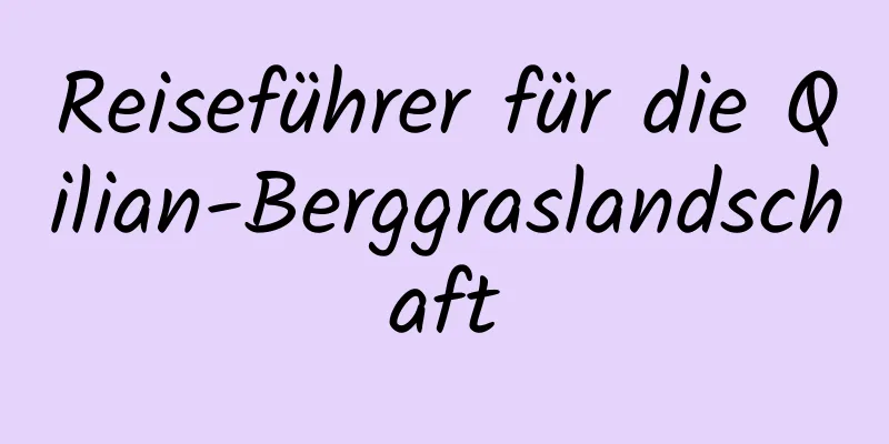 Reiseführer für die Qilian-Berggraslandschaft