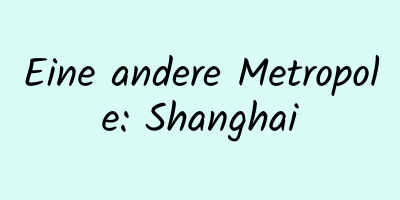 Eine andere Metropole: Shanghai