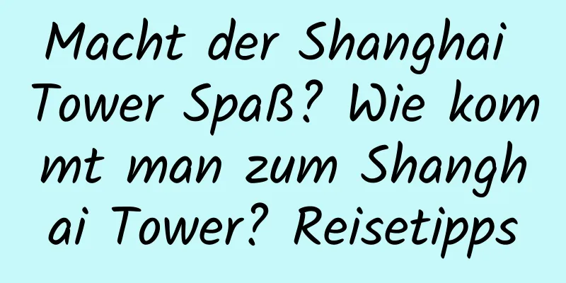 Macht der Shanghai Tower Spaß? Wie kommt man zum Shanghai Tower? Reisetipps