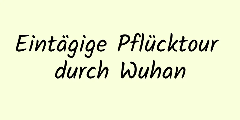 Eintägige Pflücktour durch Wuhan