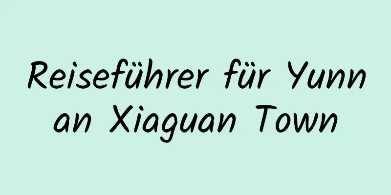 Reiseführer für Yunnan Xiaguan Town