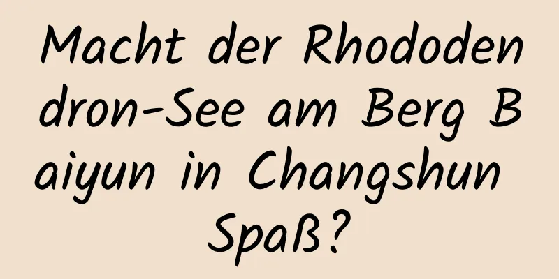 Macht der Rhododendron-See am Berg Baiyun in Changshun Spaß?