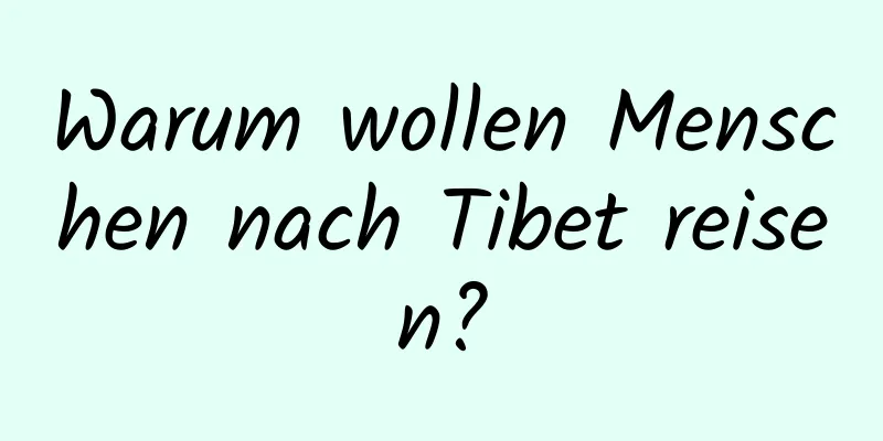 Warum wollen Menschen nach Tibet reisen?